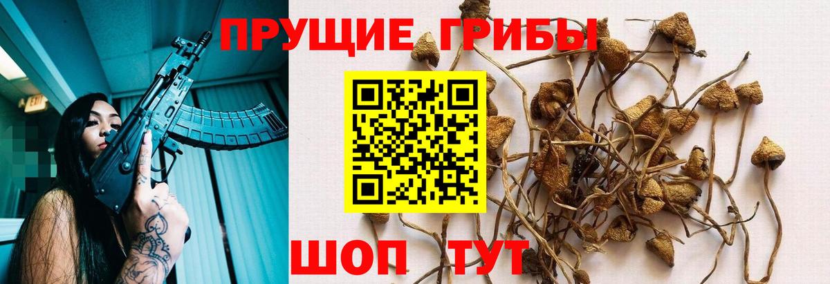 Псилоцибиновые грибы ЛСД Воркута